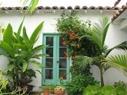 multilight-and-panelled-doors-78